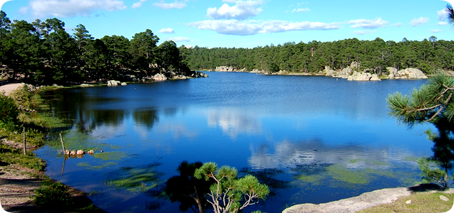 Lago de Arareko Sierra Tarahumara